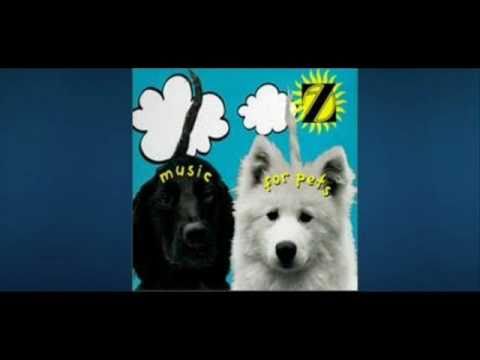 Video thumbnail for Pure