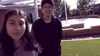 Conflicted Expressions