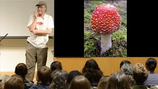 Lawrence Millman | Amanita muscaria & mushrooms of Siberia
