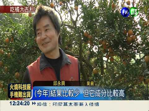 新竹促銷柑橘 2天賣出2千萬元