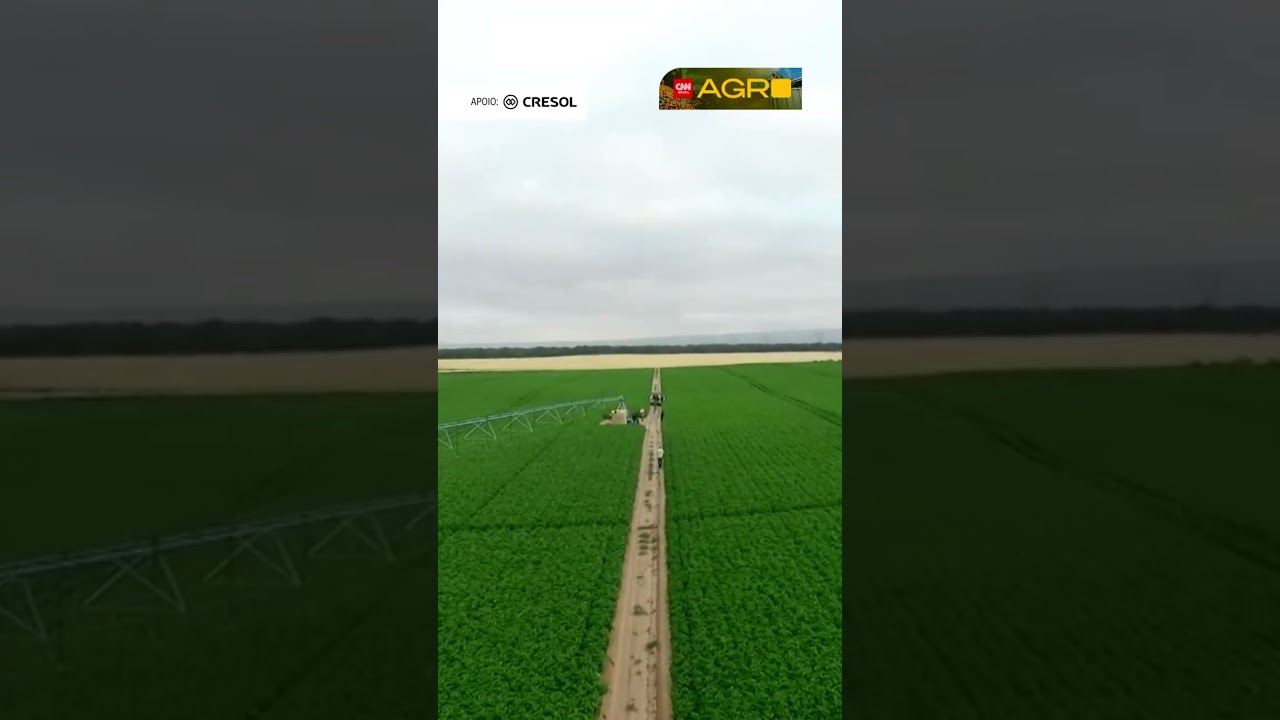 Último terço da compra de fertilizantes concentra risco para safra de soja