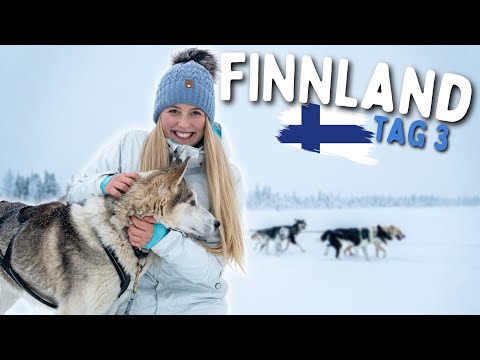 eiskalte Huskytour in Finnland🥶