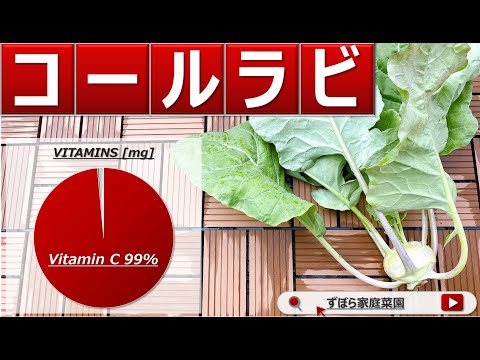 グッドネイバー: コールラビとの混合文化 植物