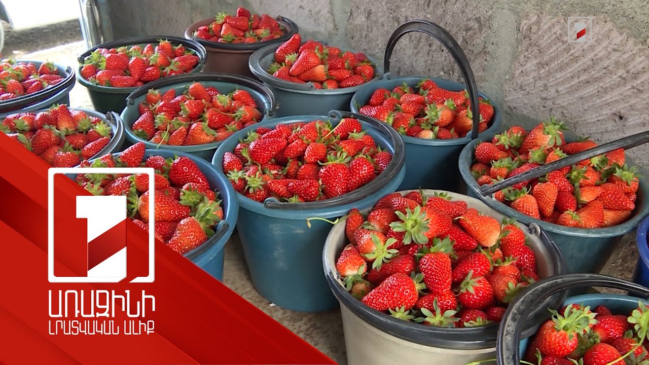 Գյուղատնտեսական արտադրանքի ծավալներն ավելացել են