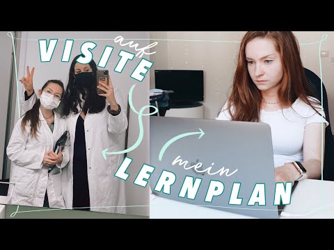 Creating an exam study plan (Notion), ward round training & dealing with failure || MEDICINE UNI ...