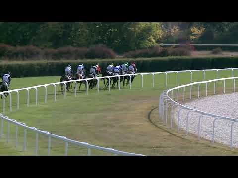 2019.10.13. 03. futam - MAGLÓDI DÍJ (III.kat.)