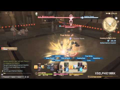 Final Fantasy XIV A Realm Reborn Blind Playthrough - [Pugilist Quest - Keeping The Spirit Alive]