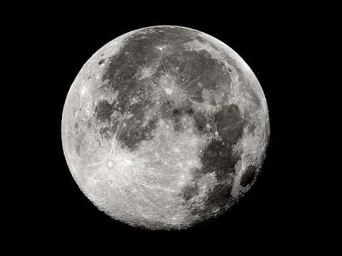 We Are Creepz - Selene