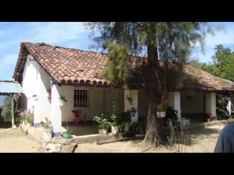 Los Pavorreales Del  Norte - Botoncito De Flor De Dalia