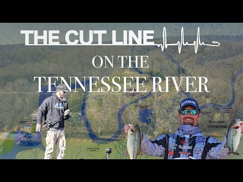 Tennessee River | Episode 2, Season 2 (The Cut Line)