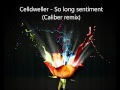 Celldweller - So long sentiment (Caliber remix) 