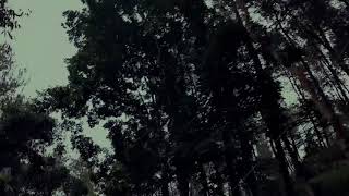 Download lagu Banser , vidoe Banser, story wa terbaru. 2021 , story wa Banser, NU mp3