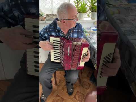 Weltmeister accordion, 1/2 accordion, 32 Bass, 26 keys, 2 voices, Accordion, Musical instrument