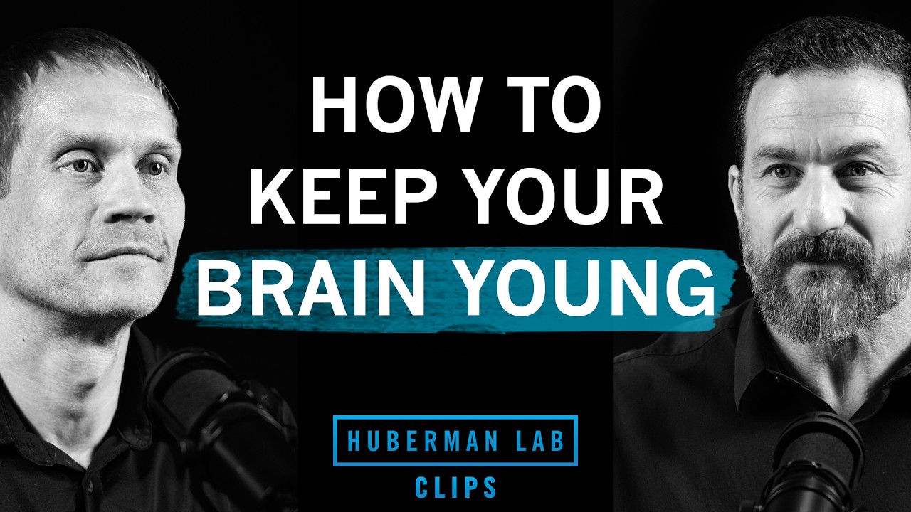 How to Keep Your Brain Young | Dr. Tommy Wood & Dr. Andrew Huberman