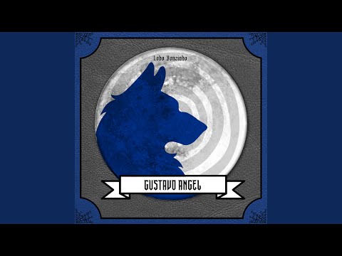 Lobo Bonzinho - Gustavo angel