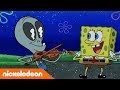 Spongebob EPISODIO COMPLETO | Spongebob contadino | Nickelodeon Italia