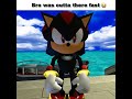 I Took The Wock To Poland Sonic Memes