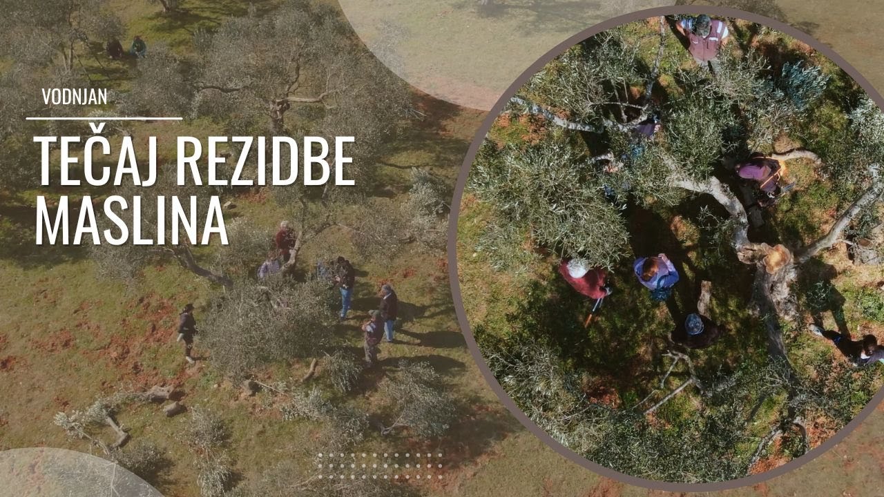 Radionica rezidbe