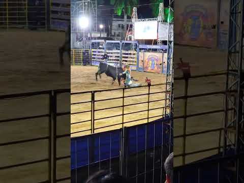 Denis Miranda Laje - Enquanto isso em Laje do Muriaé, rodeios na festa da cidade 2025