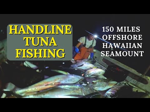 7 Day Fishing Trip | Hawaiian Sea mountain Tuna Fishing