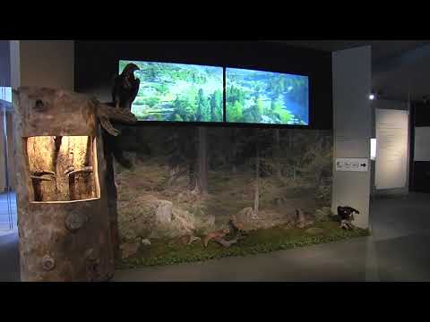 Land Südtirol - Rund 24 Prozent der Südtiroler #Landesfläche (07.05.21)