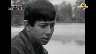 Bobby Goldsboro - Honey  (1968)
