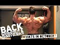 Bodybuilding Road To The Mr Olympia | Regan Grimes | 78 Days Out