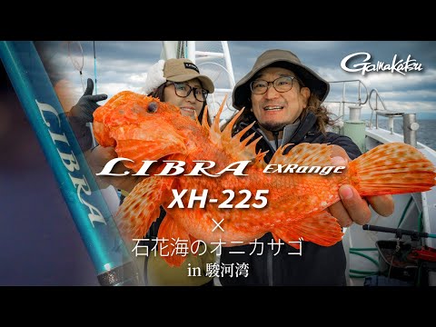 【LIBRA EXRange】絶品！明日から釣れるオニカサゴ釣り方🔰 in 駿河湾