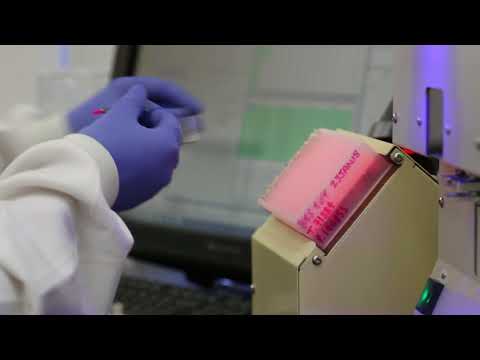 Neogen Genomics | Behind the Scenes