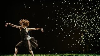 “Dead Reckoning” by KT Nelson