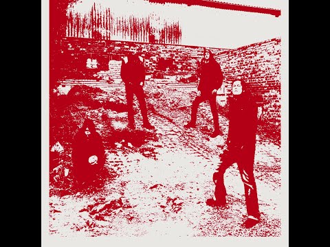 Scheiß Kultur Scheiß Identität - Mühlheim Asozial (Guitar Cover)