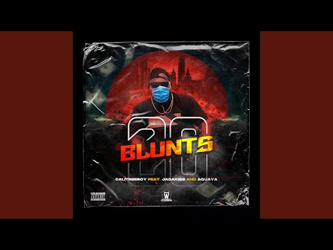 20 Blunts (feat. Jadakiss & Aquaya)