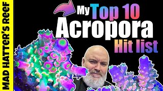 My Top 10 Acropora Hit List