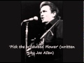 'Pick the Wildwood Flower' Original CASH Studio Recording.avi