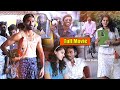 Dhanush And Tapsee Pannu Recent Super Hit Full Length HD Movie Pandem Kollu Telugu Full Movie