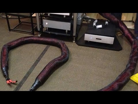 The Famous Sound of three blind mice