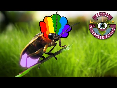 Julia is Playing Chip's Challenge and Jacob is Here