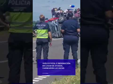 🚨 Indignante escena tras un vuelco fatal en #Pergamino: en lugar de ayudar, carnearon los animales.