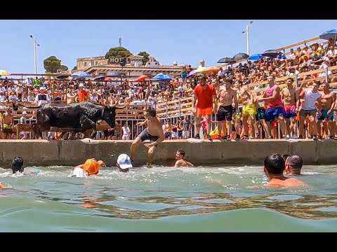 Denia Bous a la Mar Como nunca los viste