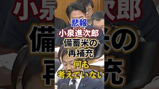 【小泉進次郎】備蓄米の補填｜策なし【玉木雄一郎】高橋洋一｜財務省 日本人ファースト
