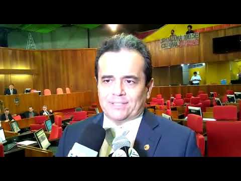 Deputado cobra a retirada de animais das rodovias estaduais no Piauí