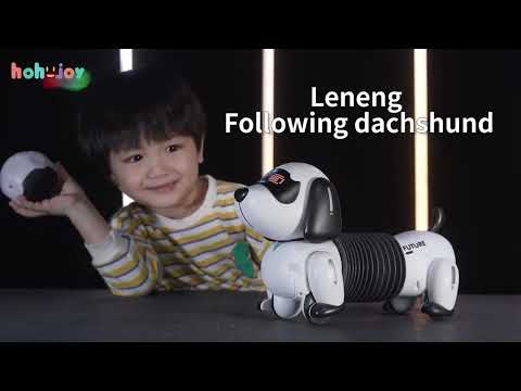 Smart Following Dachshund Dog Stunt Toy