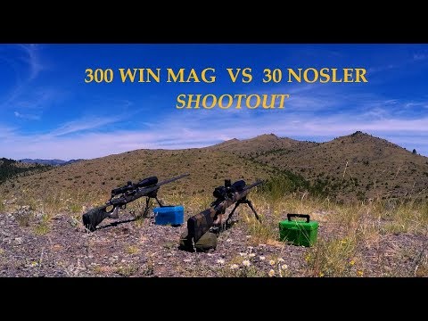 NOSLER BALLISTIC TIP BULLET