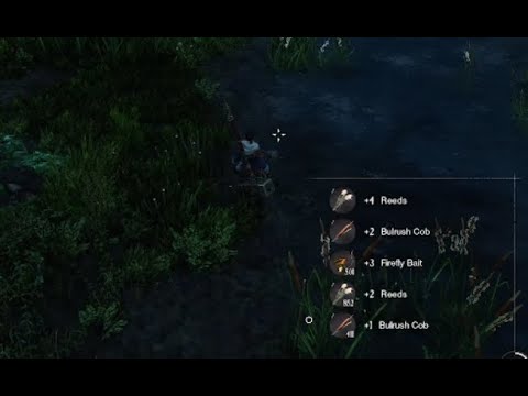 100 GOLD PER MINUTE!! New World Bulrush Cob Farm.