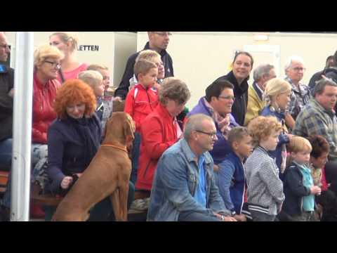 Oldtimerrit zomerfeesten Neede 2014