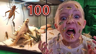 100 Layers of Crickets! Trinity vs Mom (Crickets Escaped in Our House!!!)