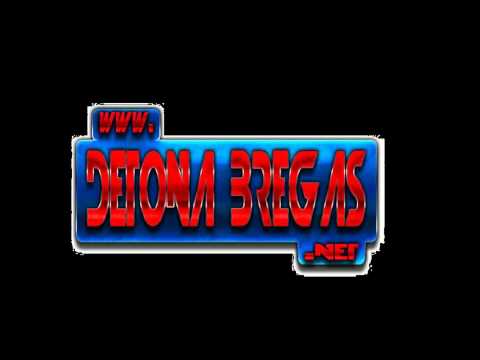 Mc Vertinho - Mina Maluca