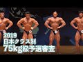 2019日本クラス別ボディビル選手権75kg以下級予選審査