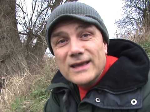 Barbel, Chub - 2009 video 10 (March)