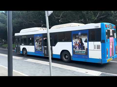 Transit Systems Sydney Mercedes Benz 0500LE Custom Coaches CB60 Evo II CNG 1981 ST Birchgrove 441